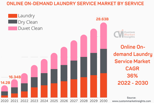 Online On-demand Laundry Service Market By Service