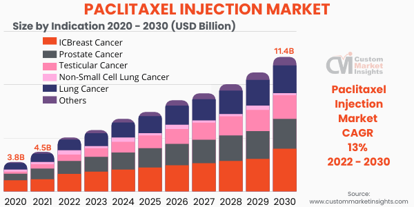 Paclitaxel Injection Market By Type