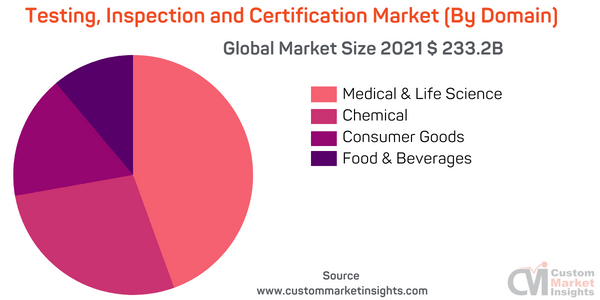Testing, Inspection and Certification Market (By Domains)