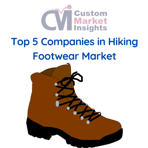 Top 5 Companies in Hiking Footwear Market