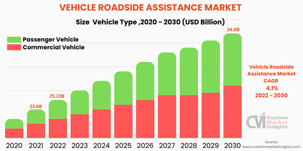 Vehicle Roadside Assistance Market ( by Vehicle Type ) 