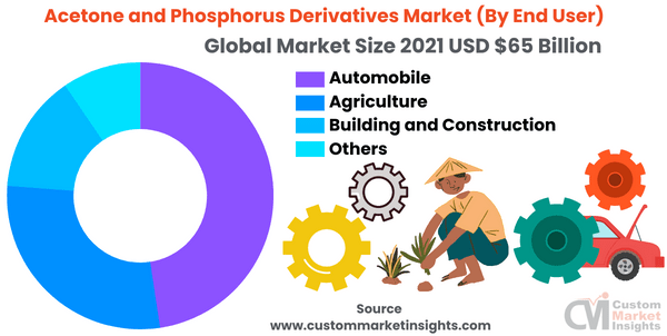 Acetone and Phosphorus Derivatives Market (By End User)