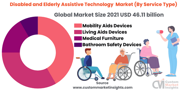 Disabled and Elderly Assistive Technology Market (By Service Type)