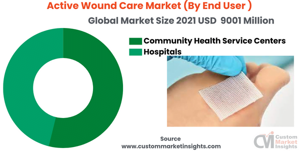 Active Wound Care Market (By End User )