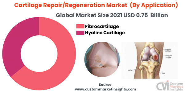 Cartilage Repair/Regeneration Market (By Application)