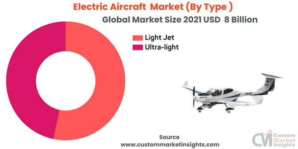 Electric Aircraft Market (By Type )