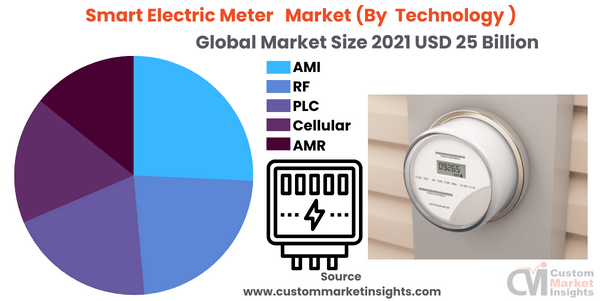 Smart Electric Meter Market (By Technology )