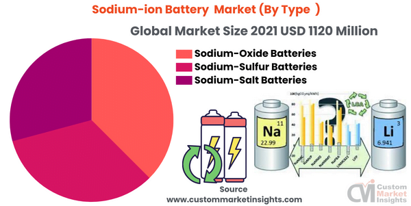 Sodium-ion Battery Market (By Type )