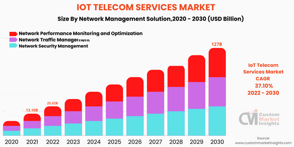 IoT Telecom Services Market ( by Network Management Solution) 