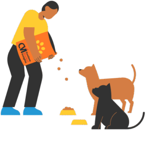 Animal Feed & Feed Additives Market Research